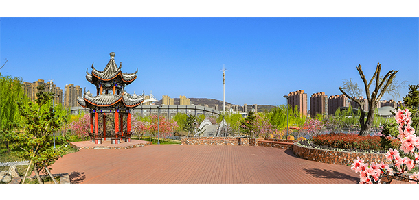我的大學(xué)-大學(xué)志