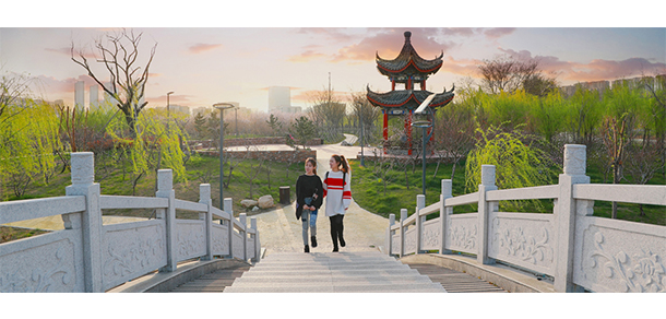 我的大學(xué)-大學(xué)志