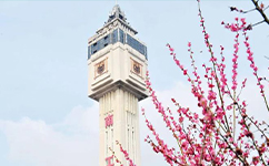 招生公告 · 招生簡(jiǎn)章 · 招生計(jì)劃