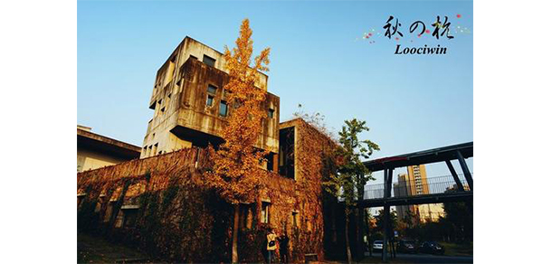 中國美術(shù)學院