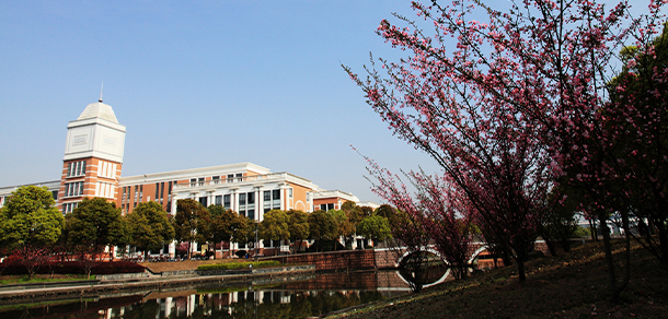 我的大學-大學志