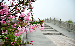 上海財經(jīng)大學浙江學院 - 我的大學