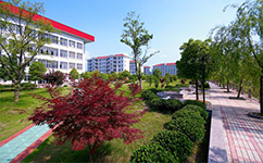 浙江宇翔職業(yè)技術學院 - 我的大學