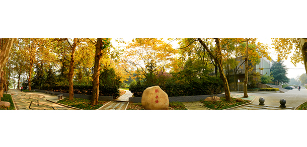 合肥工業(yè)大學 - 最美大學
