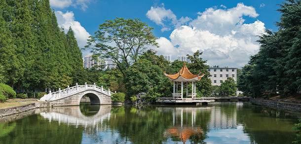 合肥工業(yè)大學 - 最美大學