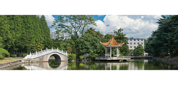 合肥工業(yè)大學 - 最美大學