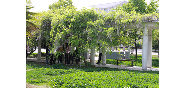 六安職業(yè)技術(shù)學院 - 最美大學