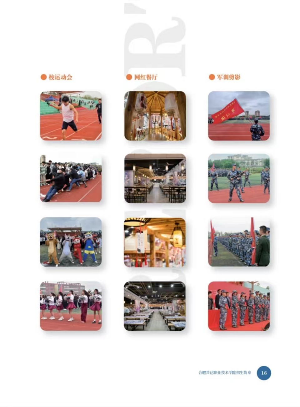 合肥共達職業(yè)技術(shù)學(xué)院－2024年秋季普通高考招生宣傳冊