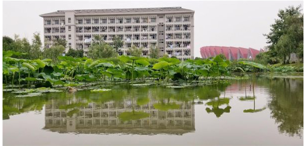 銅陵職業(yè)技術(shù)學院 - 最美大學