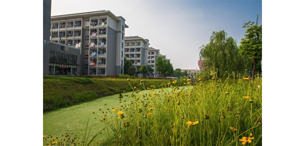 銅陵職業(yè)技術(shù)學院 - 最美大學