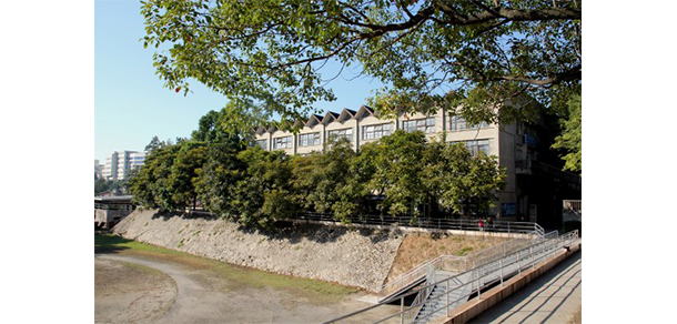 福建幼兒師范高等?？茖W(xué)校 - 最美大學(xué)