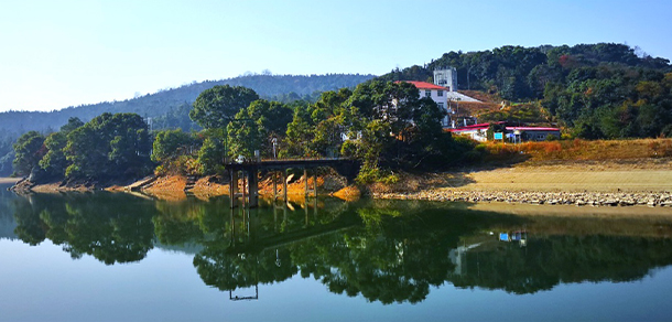 我的大學(xué)-大學(xué)志