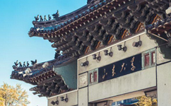 2025年強(qiáng)基計劃招生簡章
