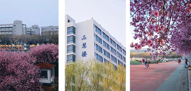 山東農業(yè)大學 - 最美院校