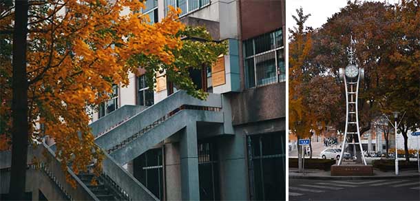 山東農業(yè)大學 - 最美院校