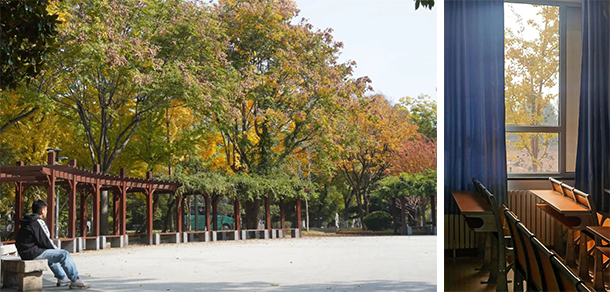 山東農業(yè)大學 - 最美大學