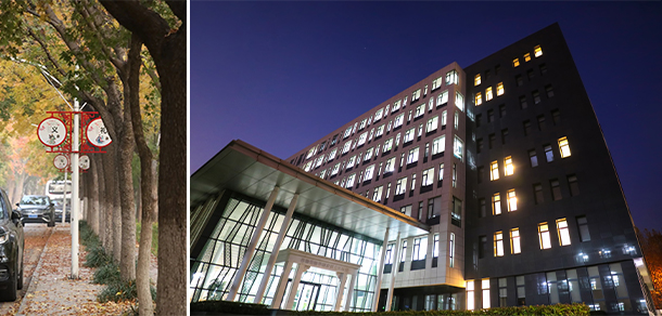 山東農業(yè)大學 - 最美大學