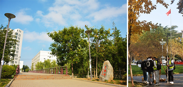 山東農業(yè)大學 - 最美大學