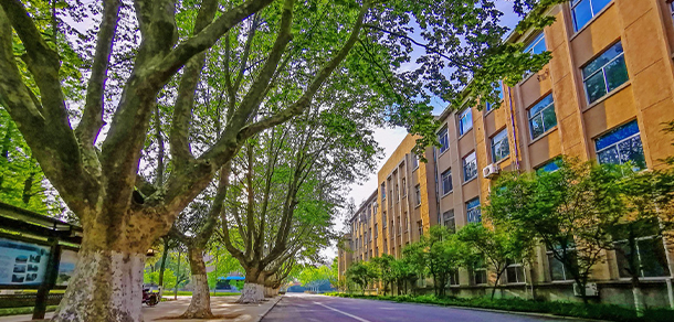青島農業(yè)大學海都學院 - 最美大學