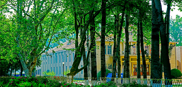 青島農業(yè)大學海都學院 - 最美大學