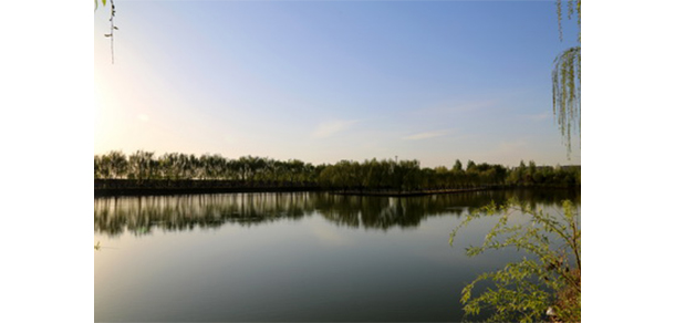 山東農(nóng)業(yè)工程學院 - 最美大學