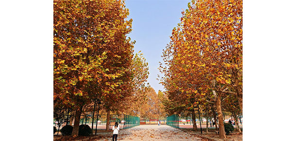2022年招生分?jǐn)?shù)