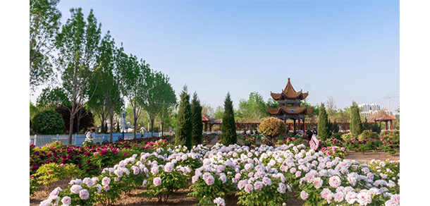 菏澤醫(yī)學(xué)?？茖W(xué)校 - 最美大學(xué)