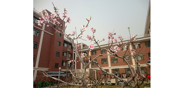 2022年招生分數(shù)