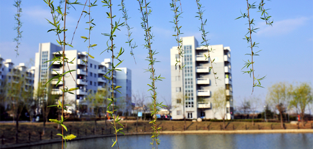 2022年招生分數(shù)