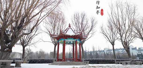 2022年招生計劃