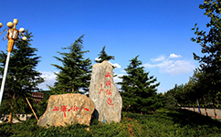 歷史沿革(概)校史