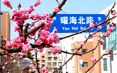 文化標識：校名題寫 / 校徽設計