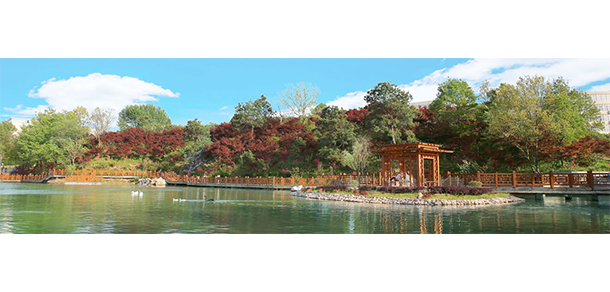 信陽師范學院