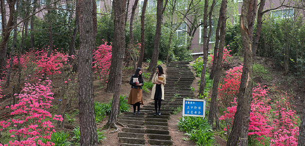 信陽學院 - 最美大學