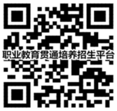 二維碼在線進行報考、計劃查詢、錄取查詢