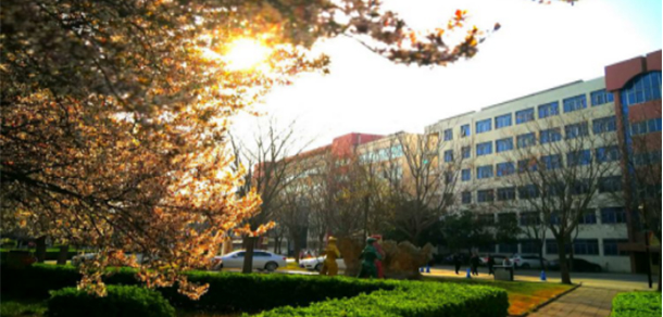 我的大學-大學志