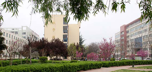 我的大學-大學志