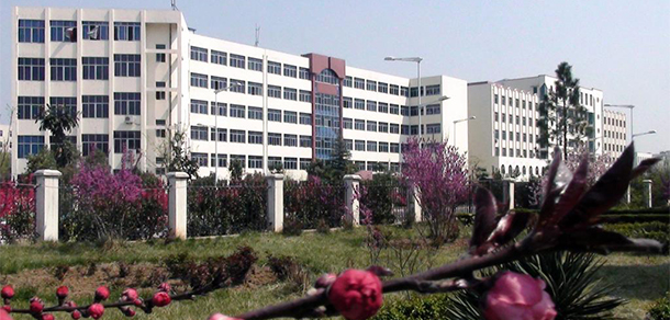我的大學-大學志