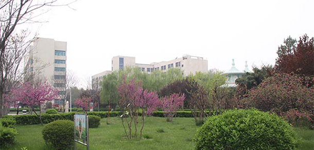 我的大學-大學志