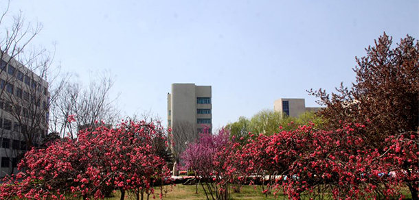 我的大學-大學志