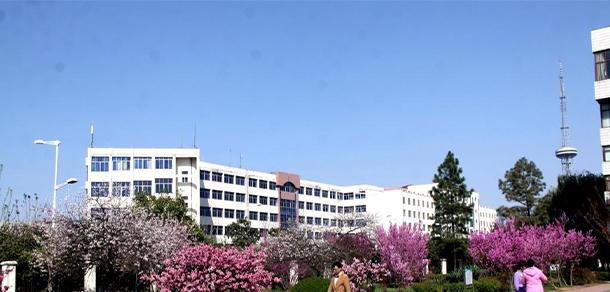 我的大學-大學志