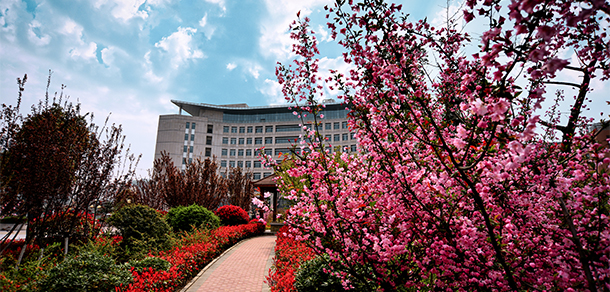我的大學-大學志