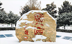 文化標(biāo)識(shí)：校名題寫 / 校徽設(shè)計(jì)
