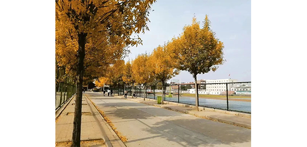 濮陽石油化工職業(yè)技術學院