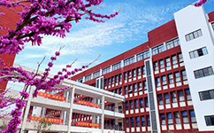鄭州電子商務職業(yè)學院 - 我的大學