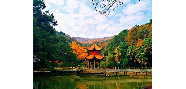 湖南師范大學