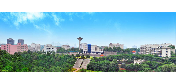 我的大學(xué)-大學(xué)志