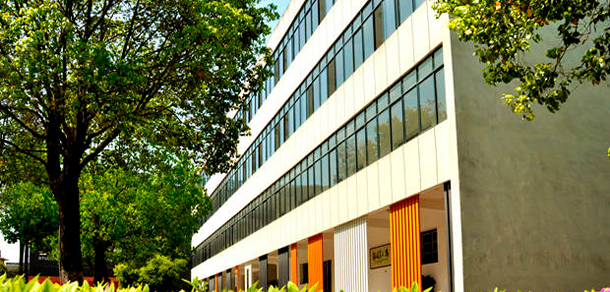 我的大學(xué)-大學(xué)志