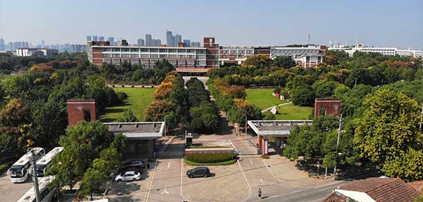 武漢城市學院