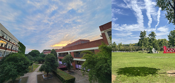 武漢城市學院